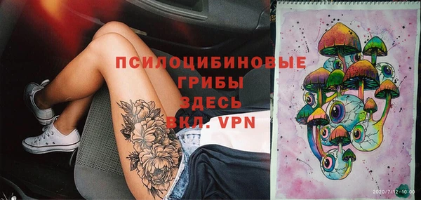 не бодяженный Надым