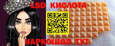 гидра Волгодонск