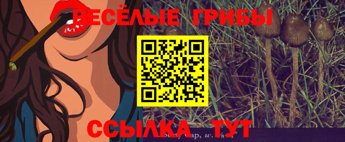 Псилоцибиновые грибы мицелий  Елабуга 