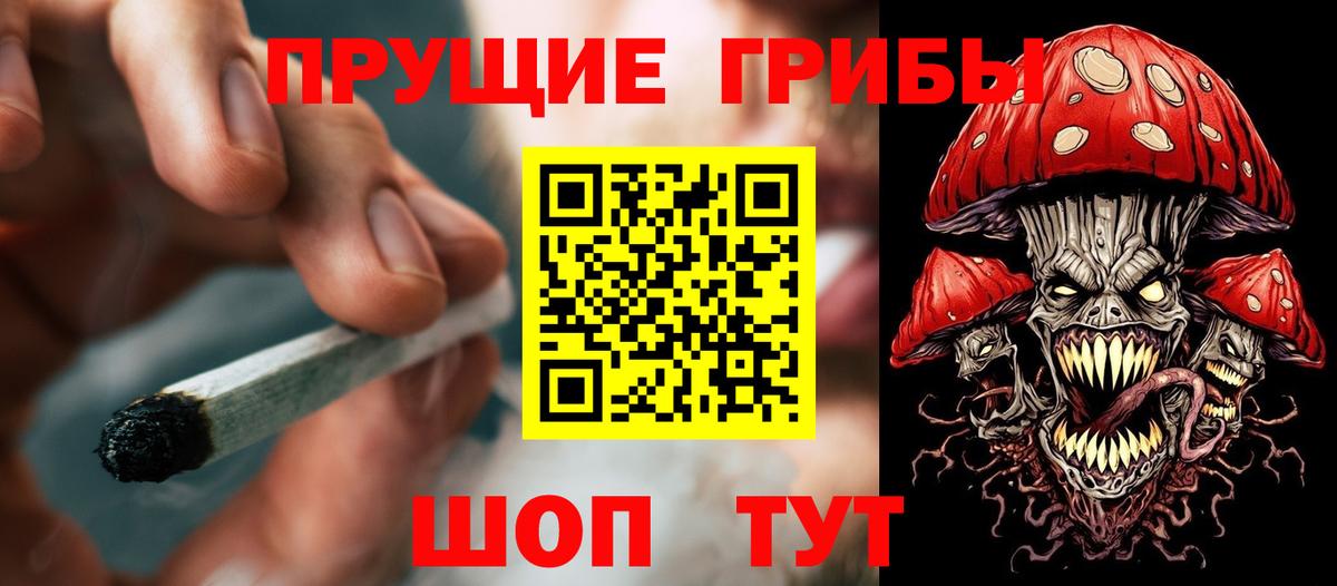 Псилоцибиновые грибы мухоморы Елабуга